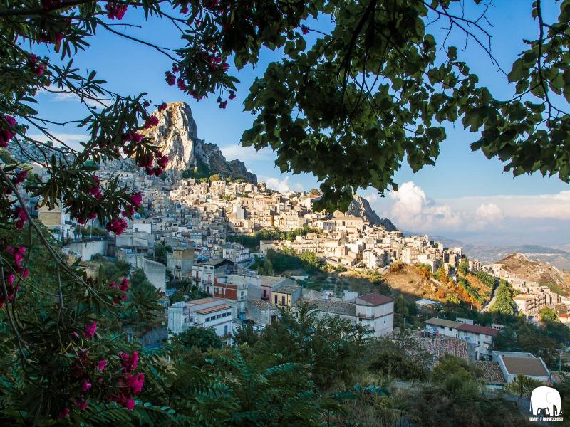 Le Foglie d'Argento image