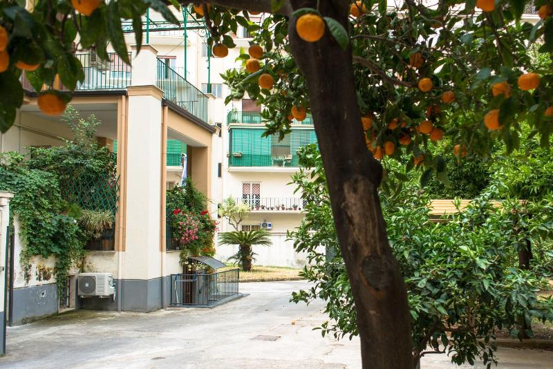 B&B IL NIDO