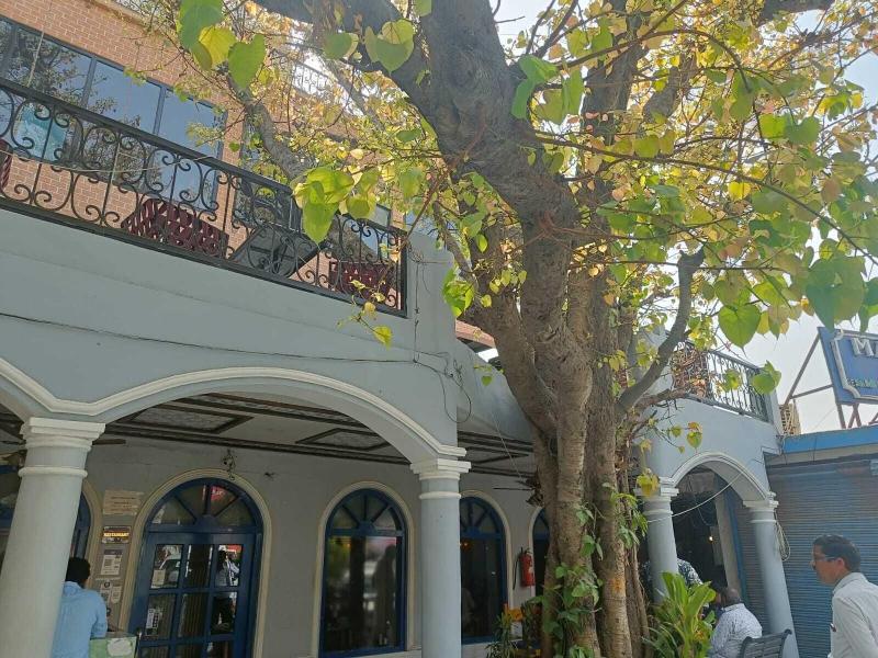 Maya Hotel & Restaurant image