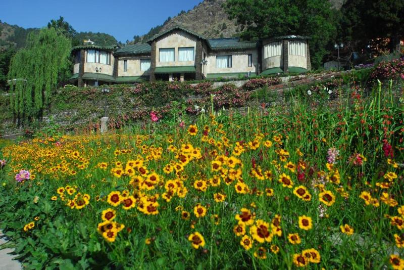 Shervani Hilltop Nainital image