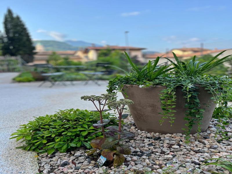 B&B Ai Colli image