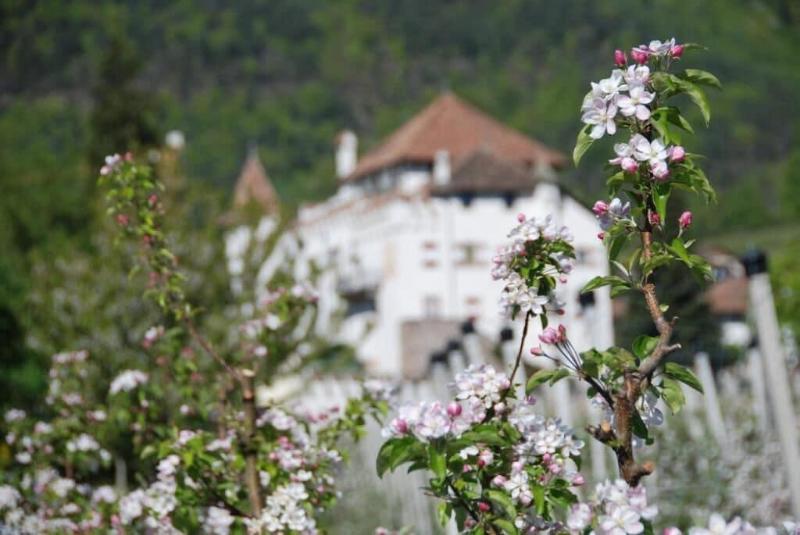 Schloss Paschbach image