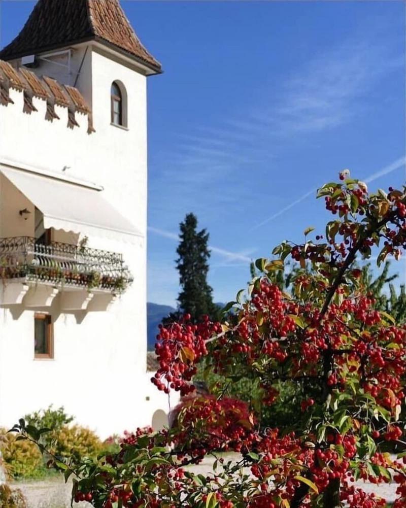 Schloss Paschbach image