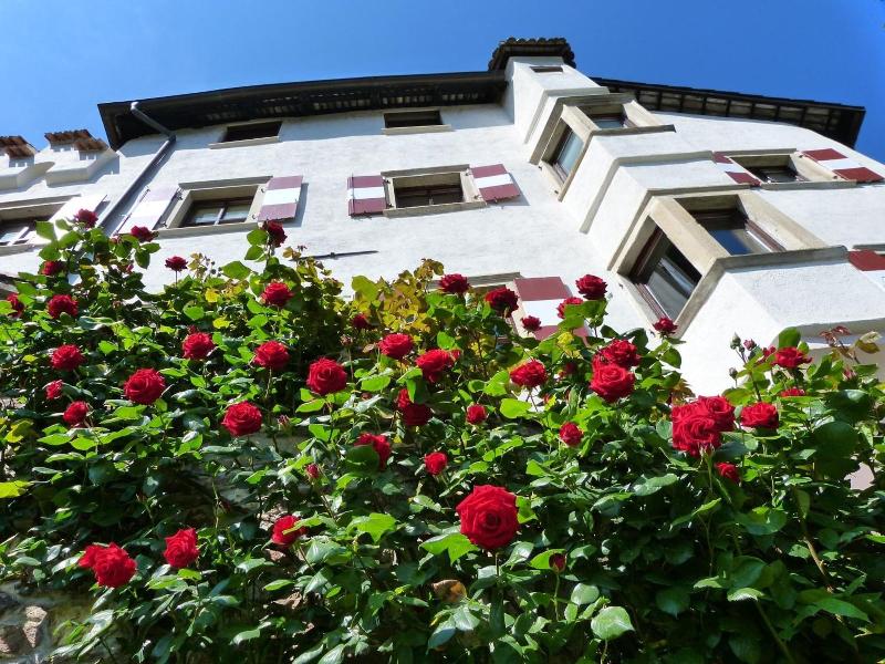 Schloss Paschbach image