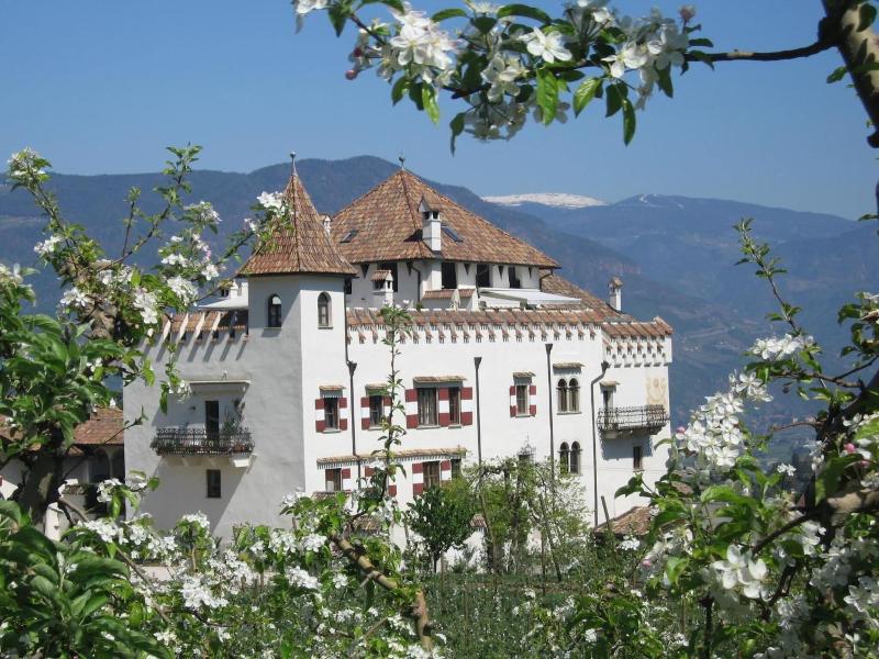 Schloss Paschbach image