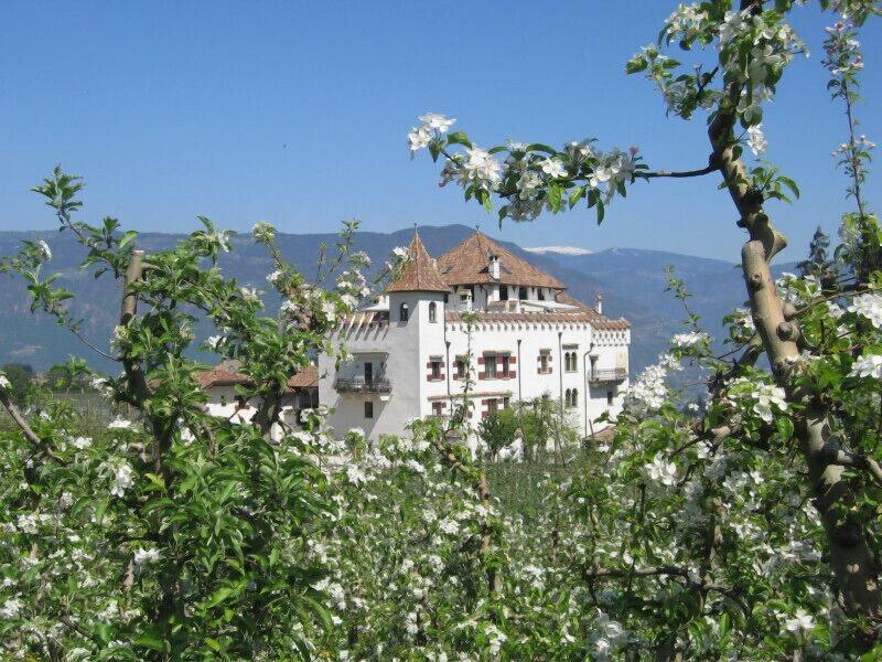 Schloss Paschbach image