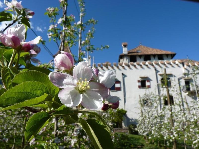 Schloss Paschbach image