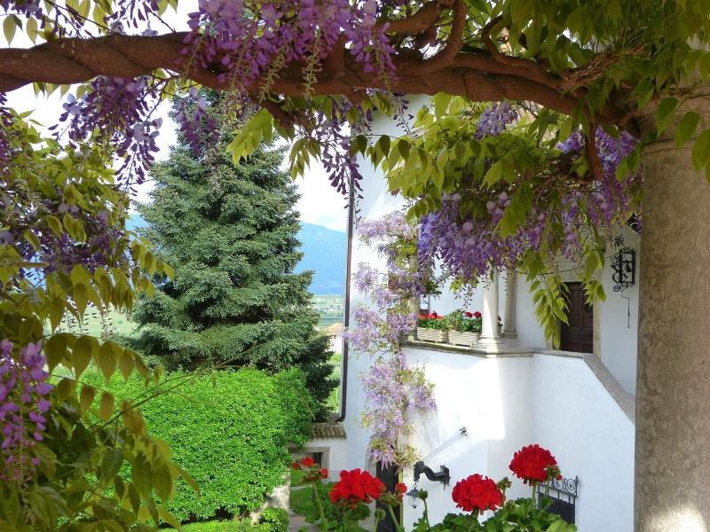 Schloss Paschbach image