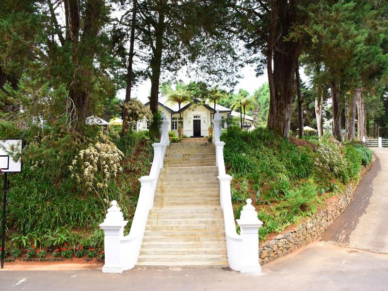Mirage Kings Cottage