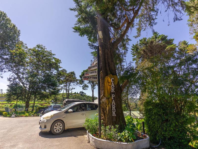 Mirage Kings Cottage image