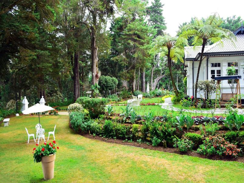 Mirage Kings Cottage image