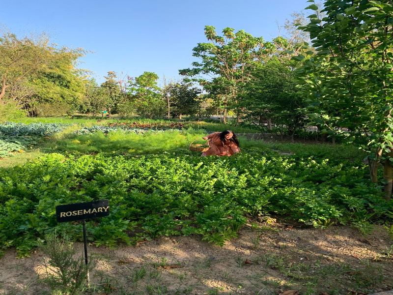 Aahana  — photo 32
