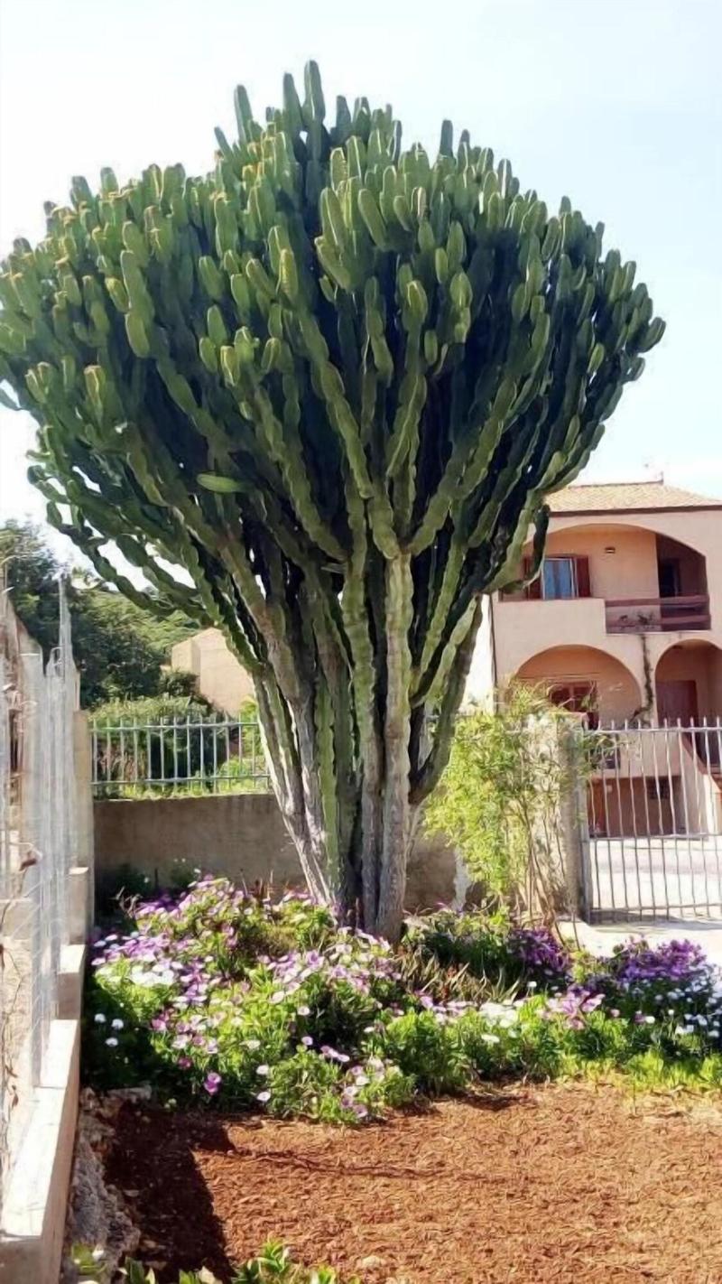 Privacy & Relax in Sardegna image
