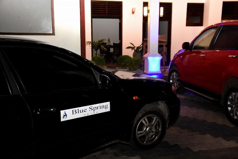 Capital O 132 Blue Spring Hotel image
