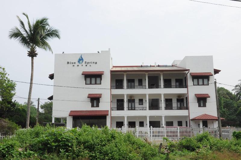 Capital O 132 Blue Spring Hotel image