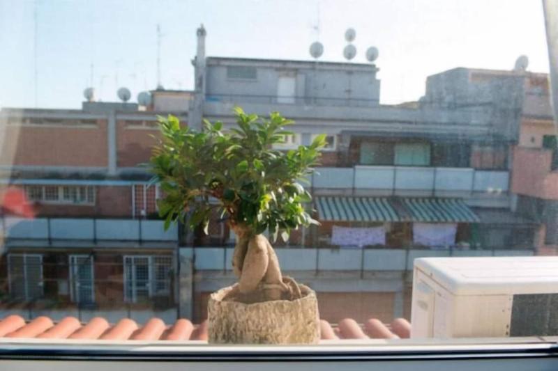 Letto E Latte image