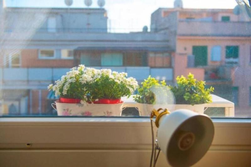 Letto E Latte image
