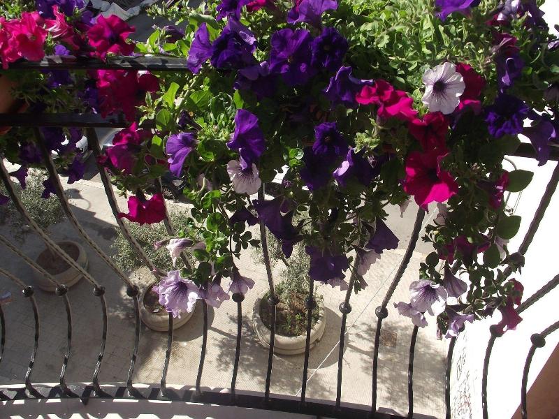 B&B Al Vecchio Borgo image
