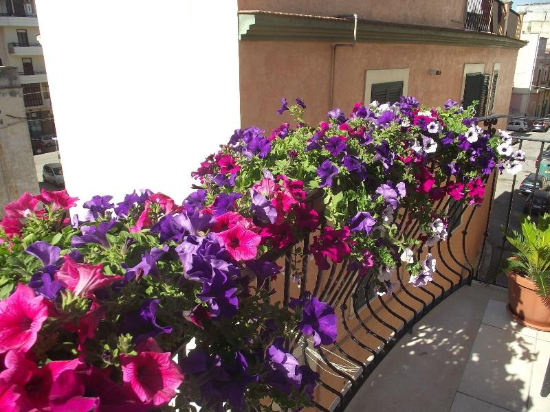B&B Al Vecchio Borgo image
