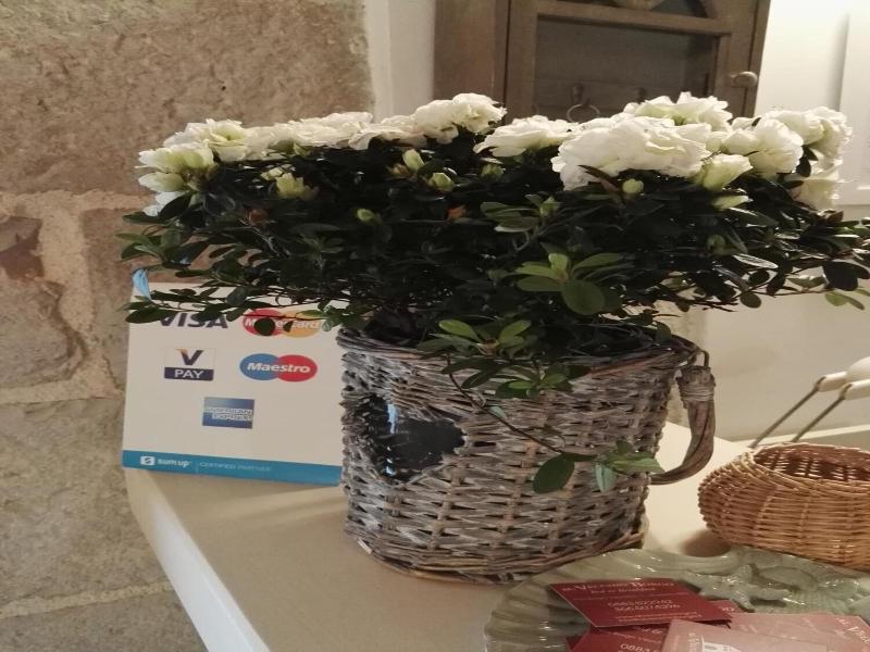 B&B Al Vecchio Borgo image