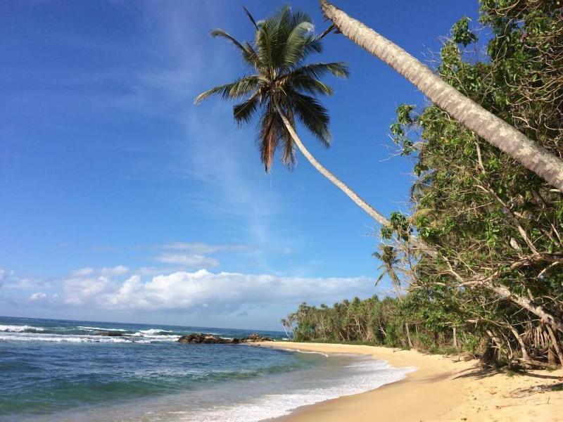 Eva Lanka Hotel image