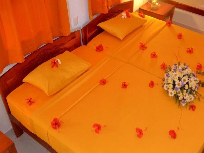 Eva Lanka Hotel image