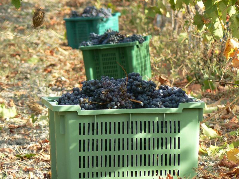 B&B Pessighette Dimora di Campagna image
