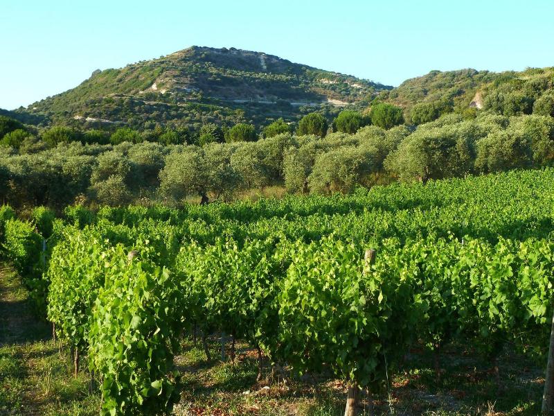 B&B Pessighette Dimora di Campagna image