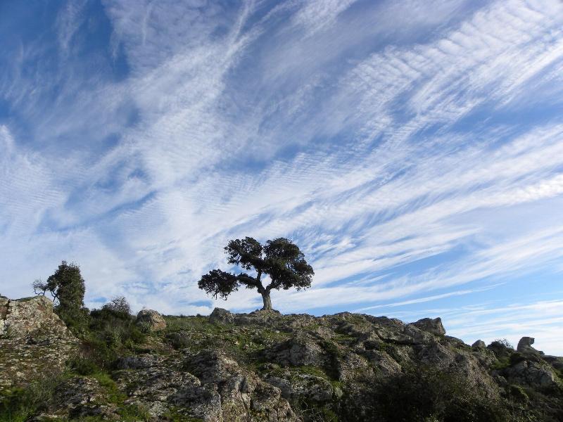 B&B Pessighette Dimora di Campagna image