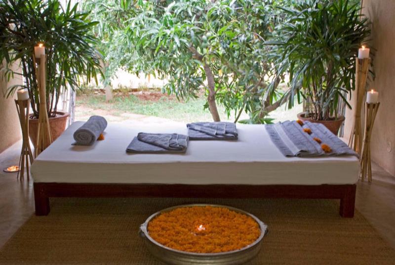 Shreyas Yoga Retreat, Bangalore image
