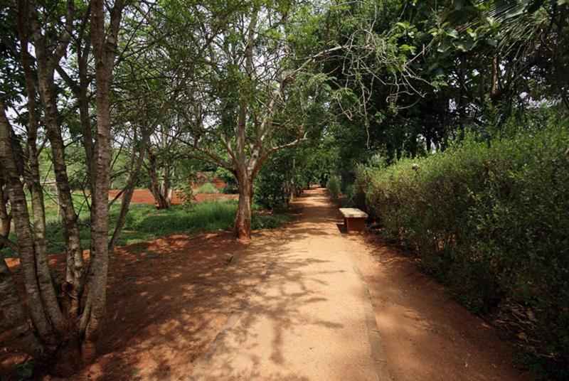 Shreyas Yoga Retreat, Bangalore image