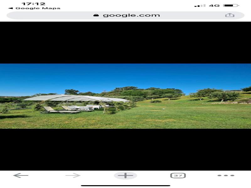 Bb10 Oasi image