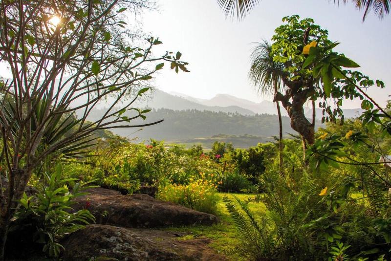 Bougainvillea Retreat image