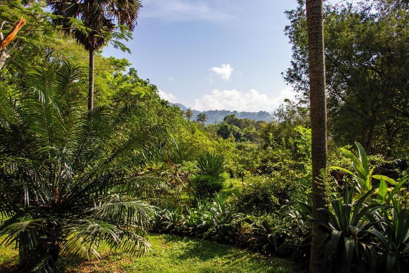 Bougainvillea Retreat image