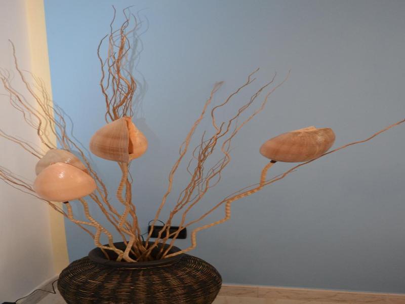 Anna's Family image