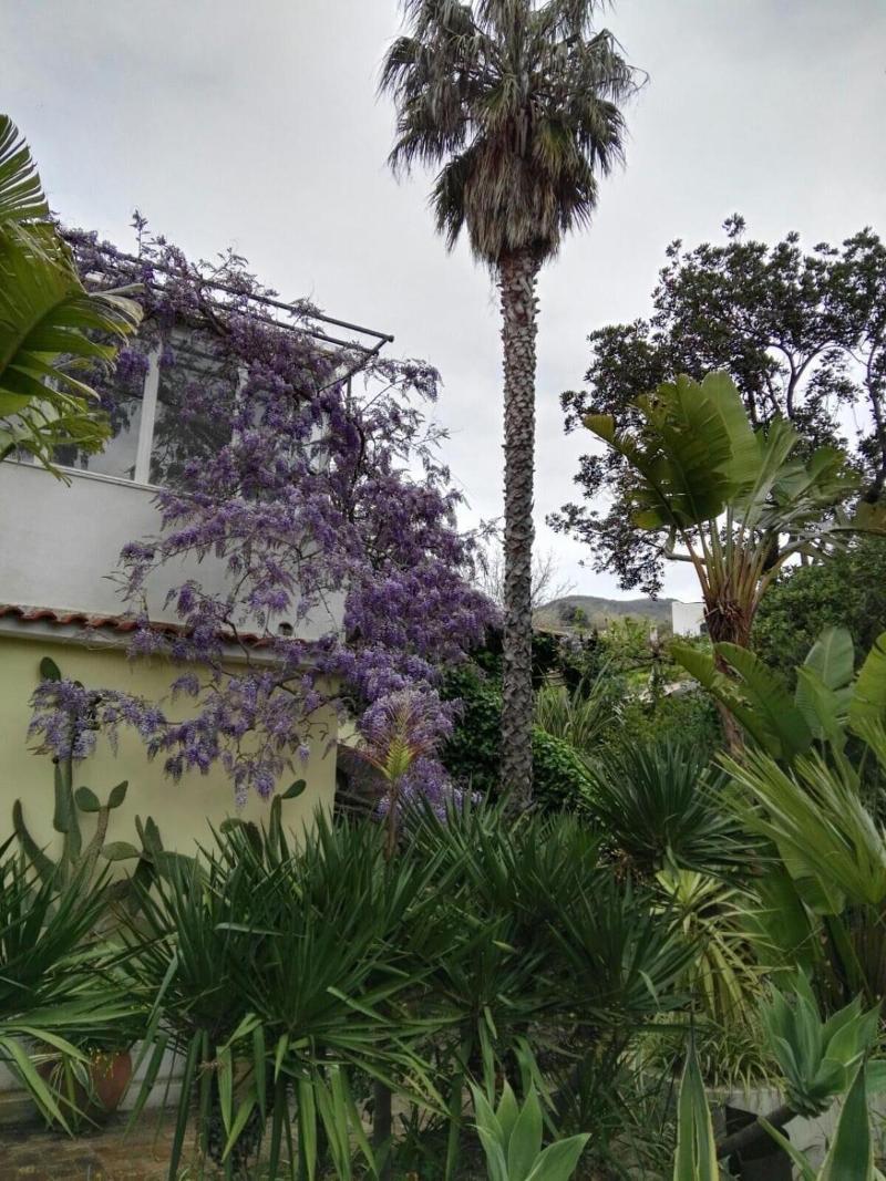 B&B La Salamandra Kitchengarden image