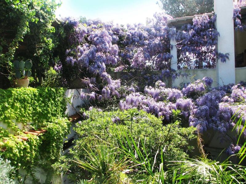 B&B La Salamandra Kitchengarden image