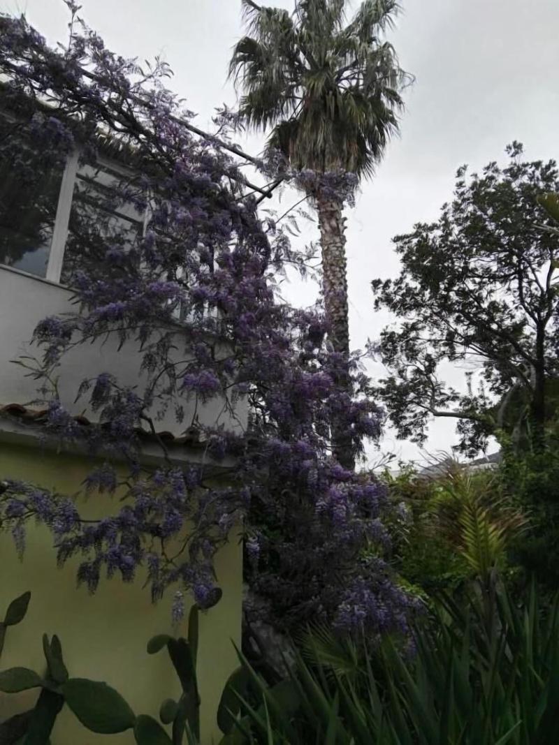 B&B La Salamandra Kitchengarden image