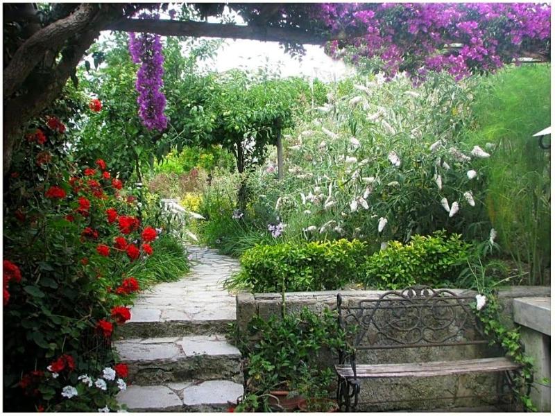 B&B La Salamandra Kitchengarden image
