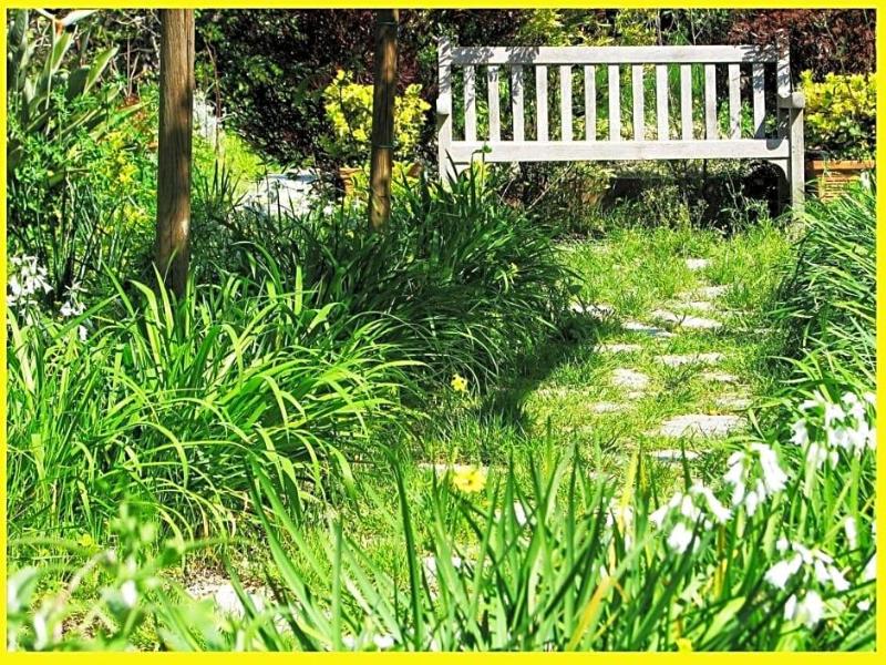 B&B La Salamandra Kitchengarden image