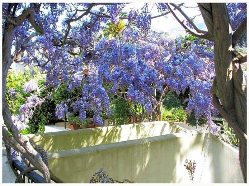 B&B La Salamandra Kitchengarden image