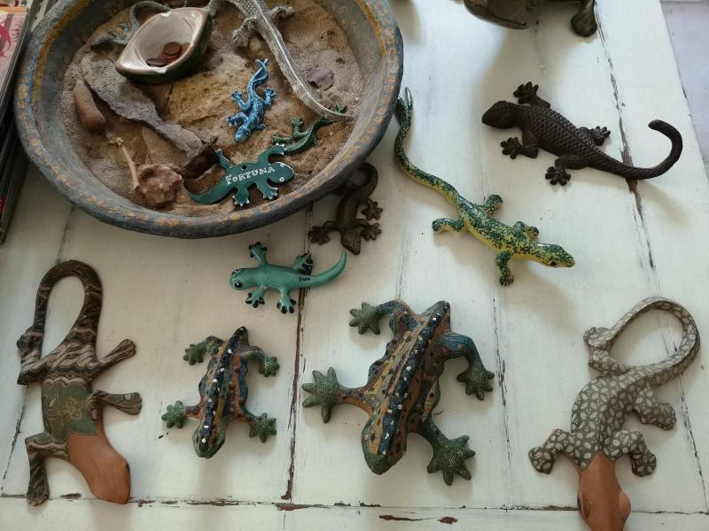 B&B La Salamandra Kitchengarden image