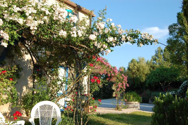 B&B Vento Di Rose image