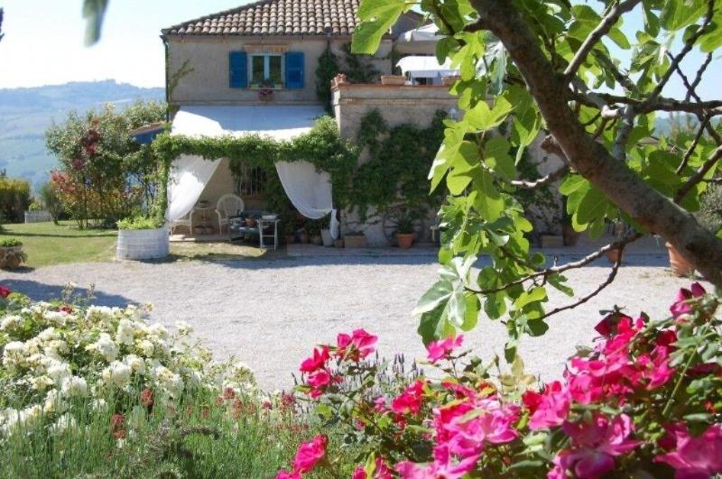 B&B Vento Di Rose image