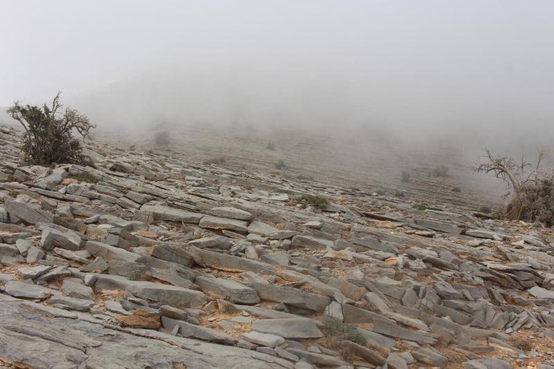 Jabal Al Akhdar Grand Hotel image