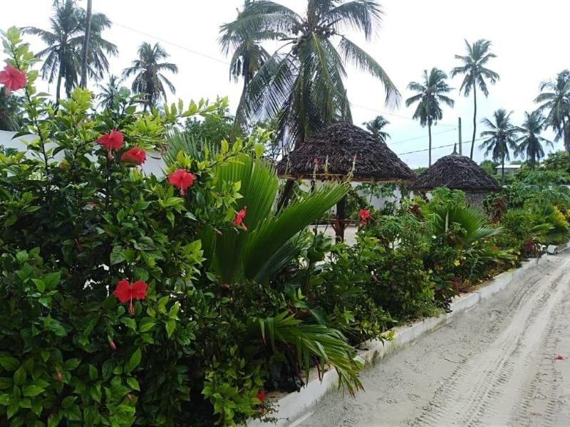 Isla Bonita Zanzibar Beach Resort image
