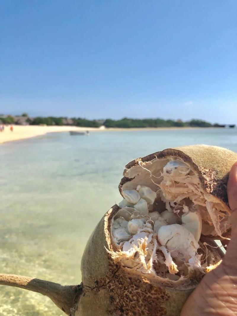 Isla Bonita Zanzibar Beach Resort image