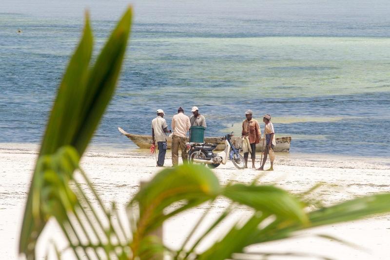 Isla Bonita Zanzibar Beach Resort image