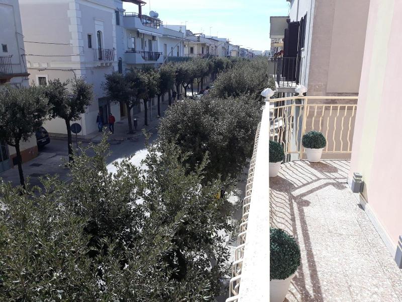 B&B Miccoli image