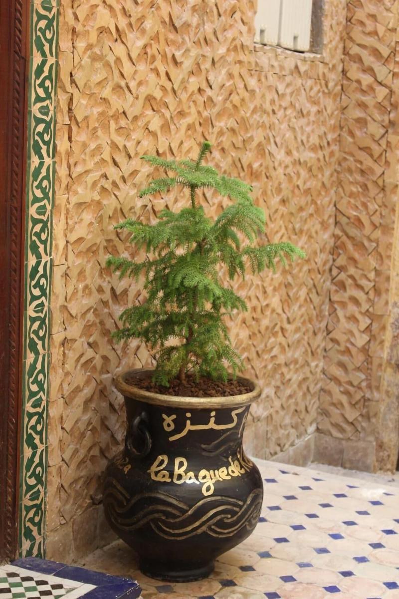 Dar La Bague De Kenza image